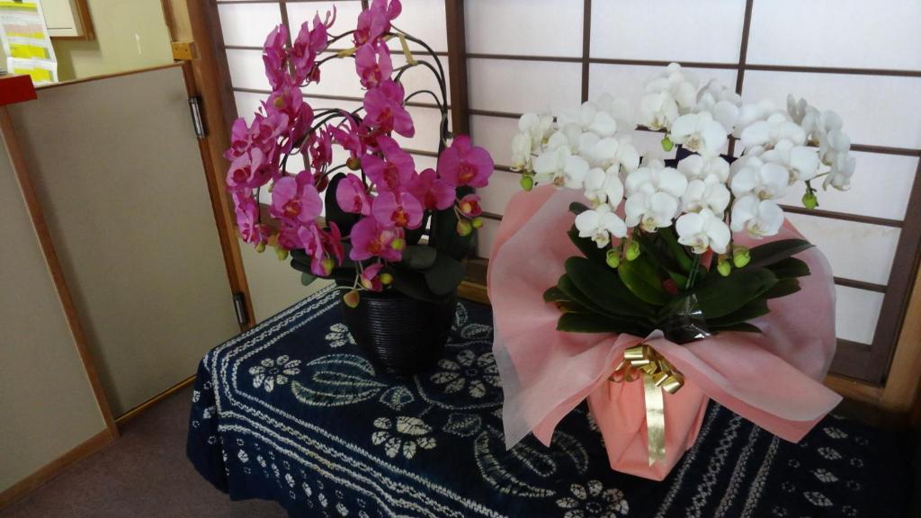 Matsunoi Ryokan 草津市 エクステリア 写真